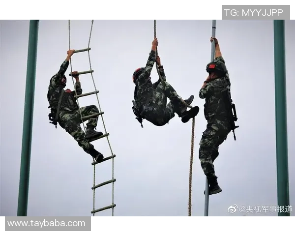 广州攀岩队防反打法的专业分析与战术解读 广州攀岩队防反打法的专业分析与战术解读