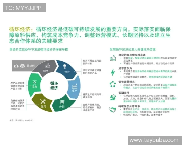 深圳乒乓球队转型之路的挑战与机遇全景解析